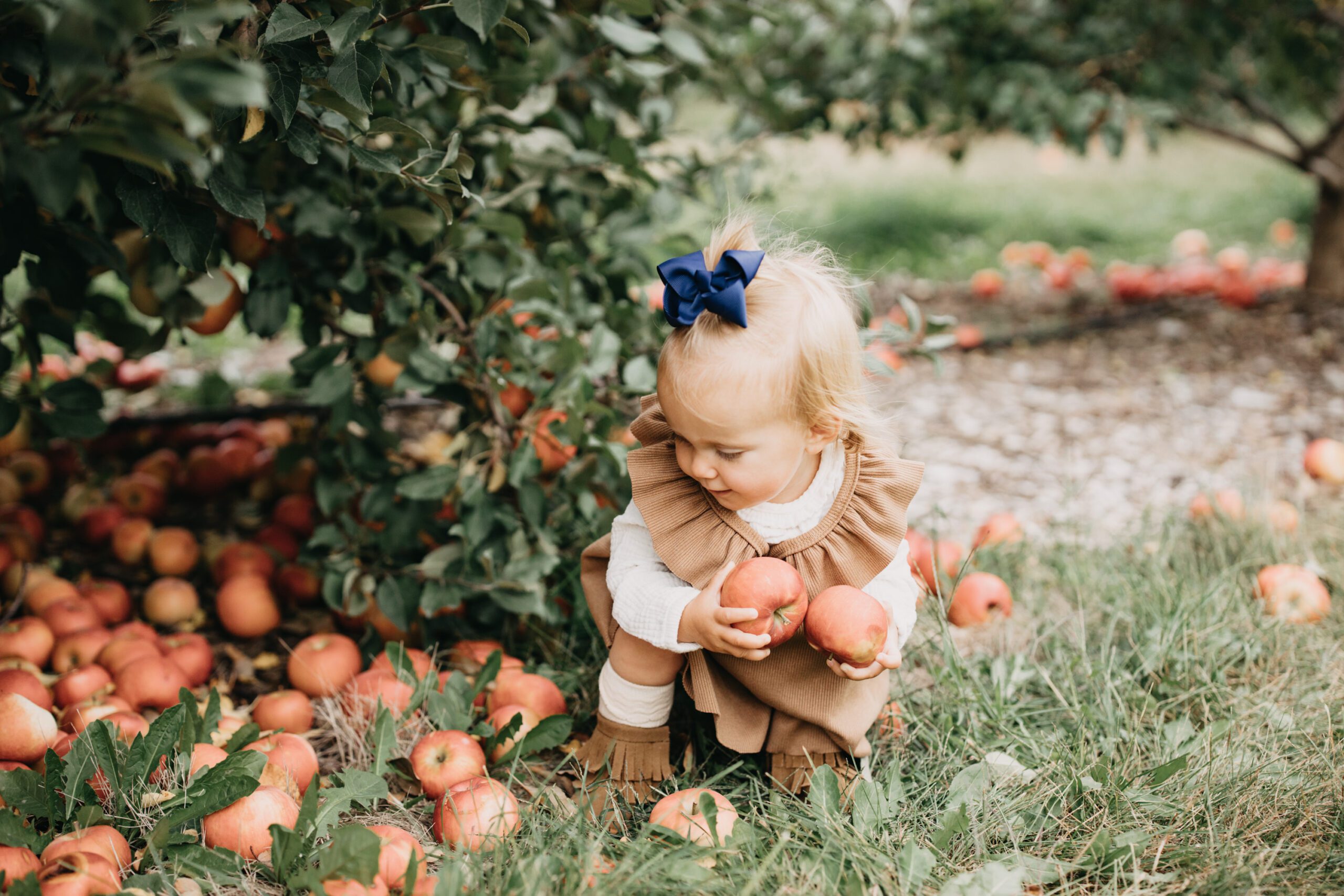 The Benik Family Apple Jacks Orchard Delano, MN